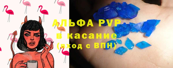 apvp Алзамай