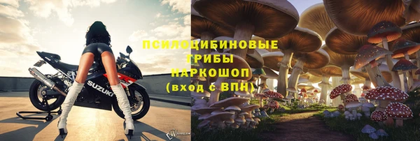 дурь Алексин