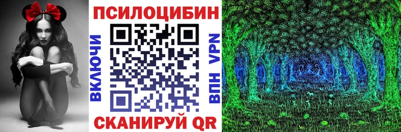 Псилоцибиновые грибы Psilocybine cubensis наркота Александровск-Сахалинский